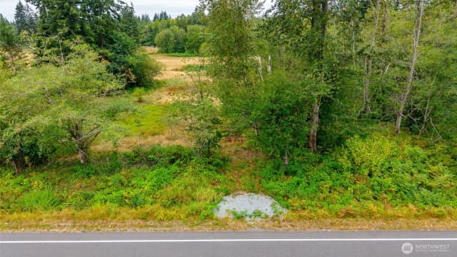 Property photo for 0 Old 99 Highway, Stanwood photo 5