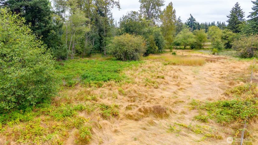 Property photo for 0 Old 99 Highway, Stanwood photo 9