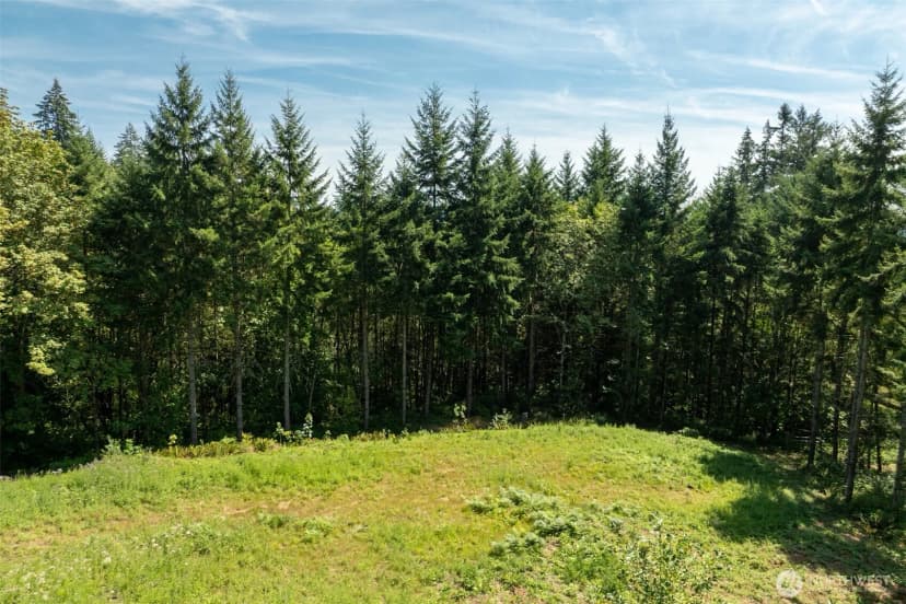 Property photo for 239 Junco Lane, Woodland photo 6