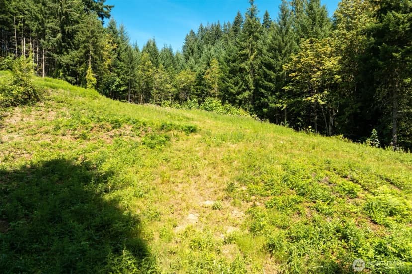 Property photo for 239 Junco Lane, Woodland photo 15