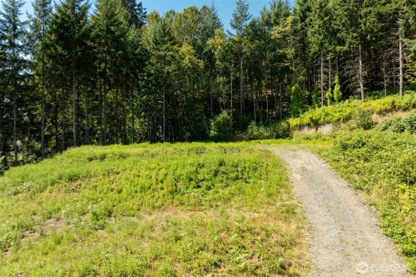 Property photo for 239 Junco Lane, Woodland photo 18
