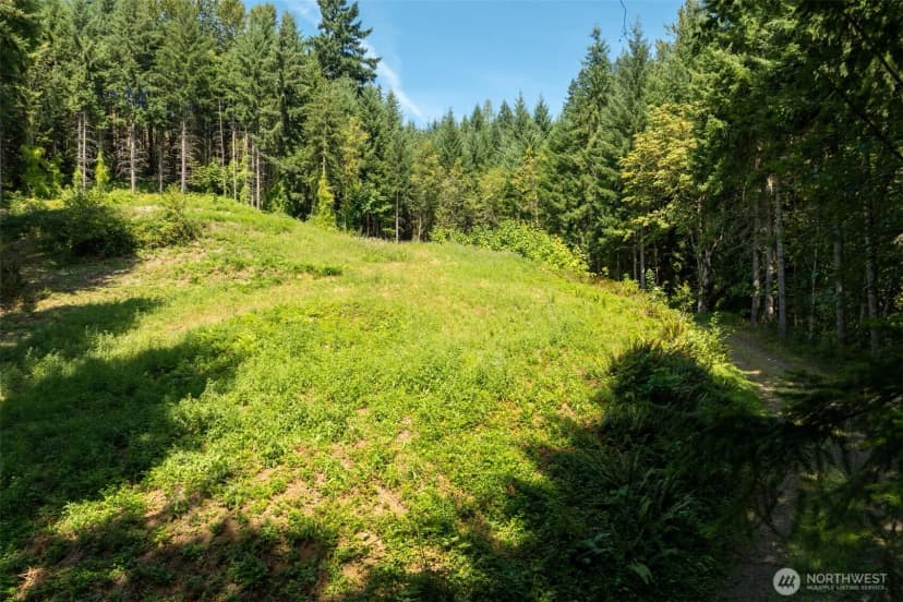 Property photo for 239 Junco Lane, Woodland photo 14