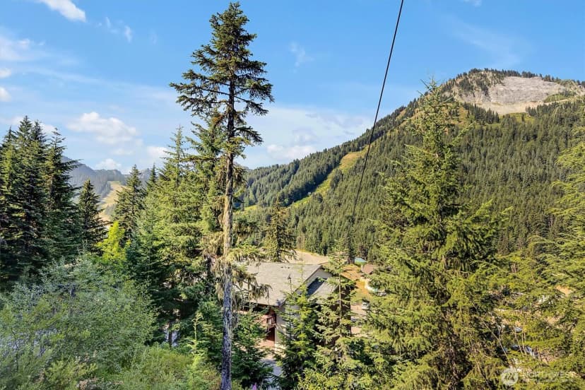 Property photo for 33613 Crystal Mountain Boulevard E #502, Enumclaw photo 20