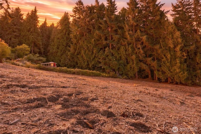 Property photo for 0 Tbd Ne Baker Hill, Bainbridge Island photo 10