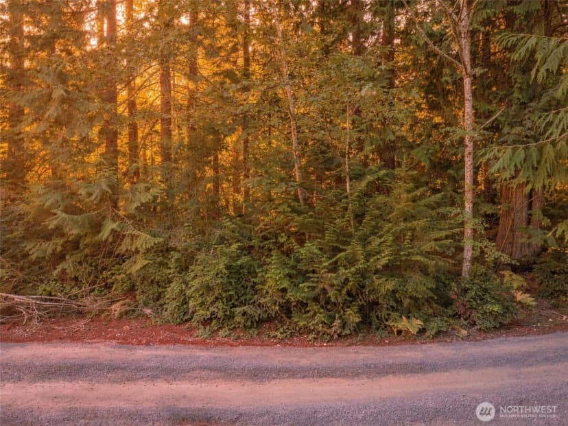 Property photo for 0 Tbd Ne Baker Hill, Bainbridge Island photo 13
