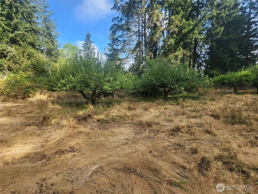 Property photo for 11719 Hobby Street Se, Yelm photo 6