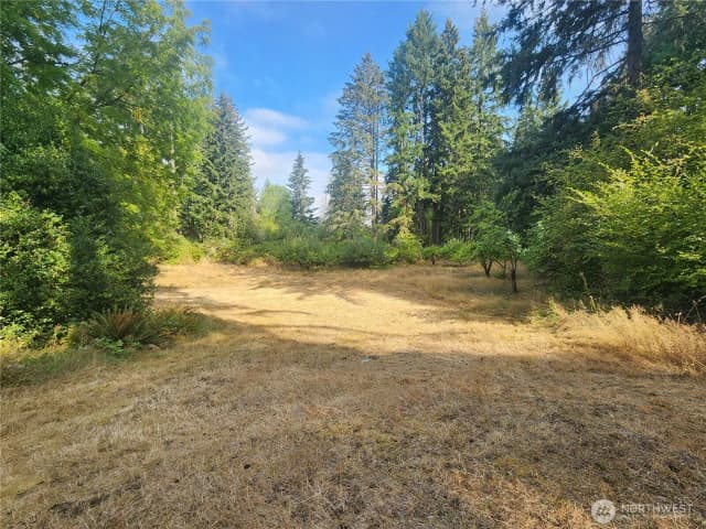 Property photo for 11719 Hobby Street Se, Yelm photo 4