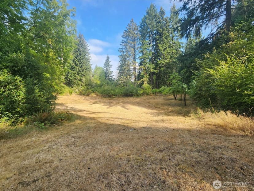 Property photo for 11719 Hobby Street Se, Yelm photo 4