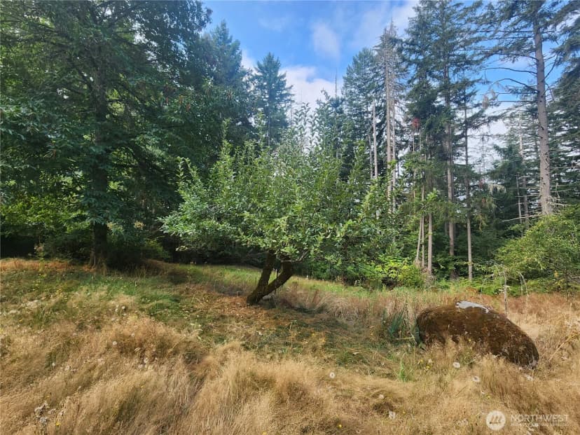 Property photo for 11719 Hobby Street Se, Yelm photo 17