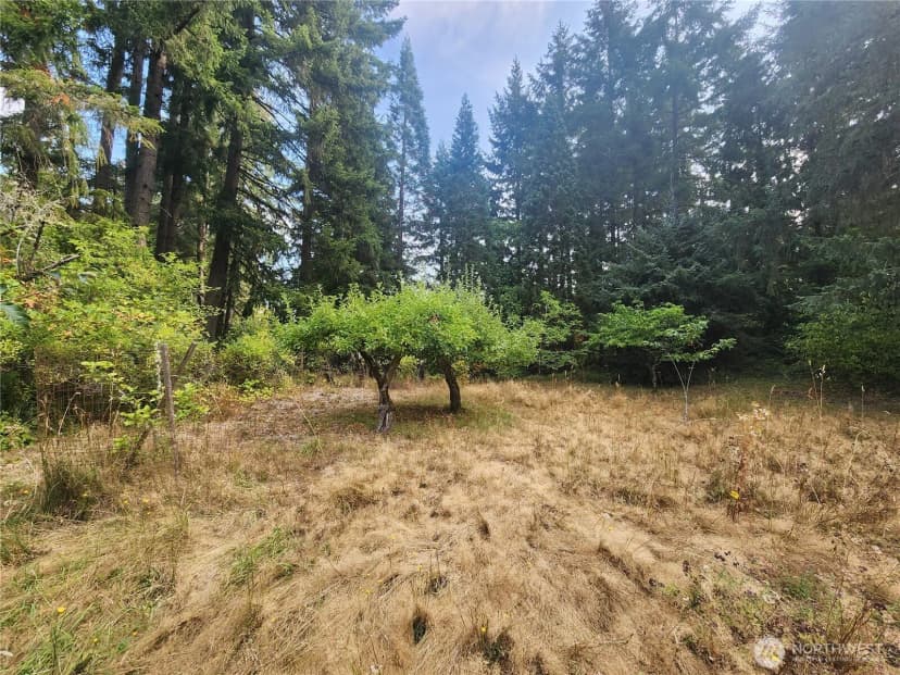 Property photo for 11719 Hobby Street Se, Yelm photo 8