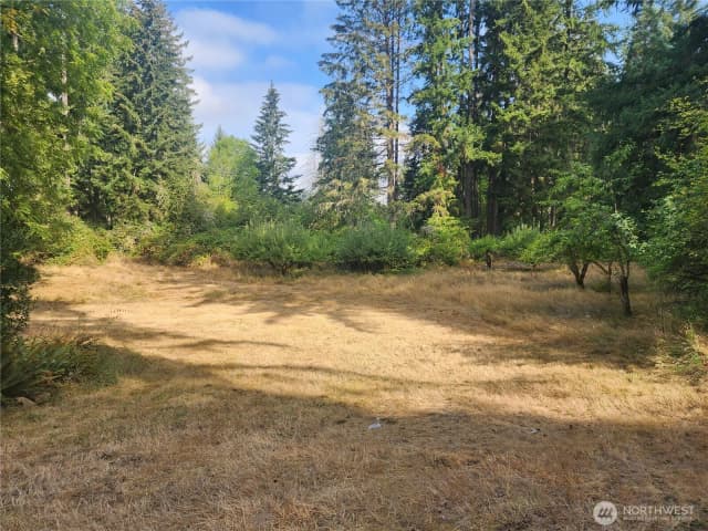 Property photo for 11719 Hobby Street Se, Yelm photo 3