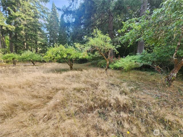 Property photo for 11719 Hobby Street Se, Yelm photo 5