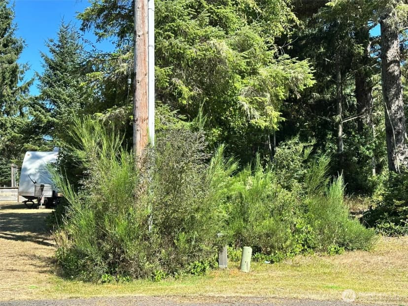 Property photo for 816 Scaup Court Se, Ocean Shores photo 7