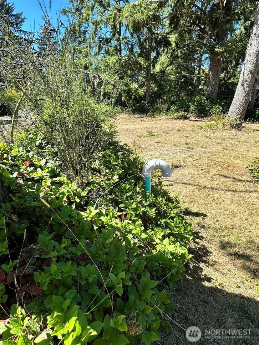 Property photo for 816 Scaup Court Se, Ocean Shores photo 8
