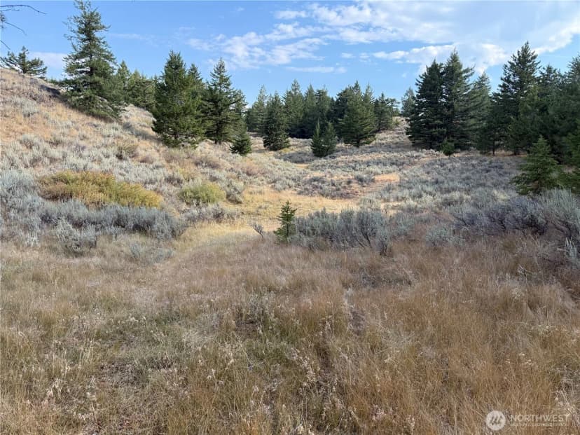 Property photo for 111 Off Log Camp Rd, Oroville photo 9