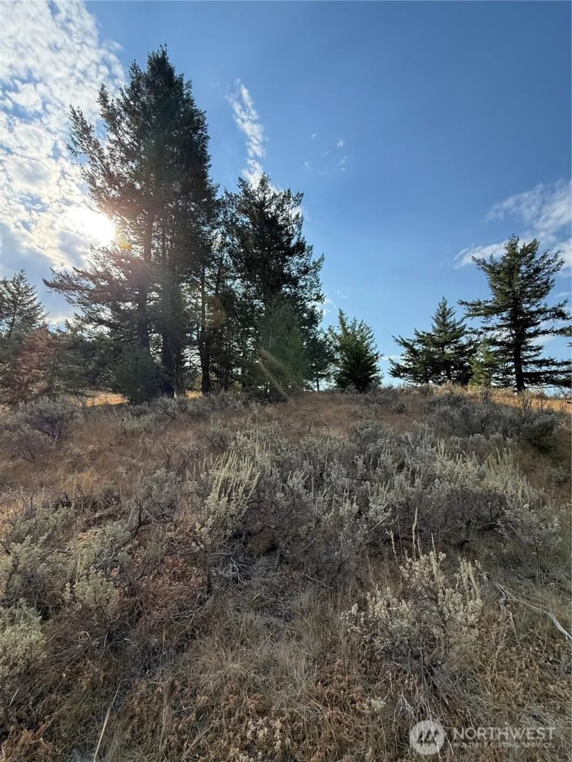 Property photo for 111 Off Log Camp Rd, Oroville photo 11