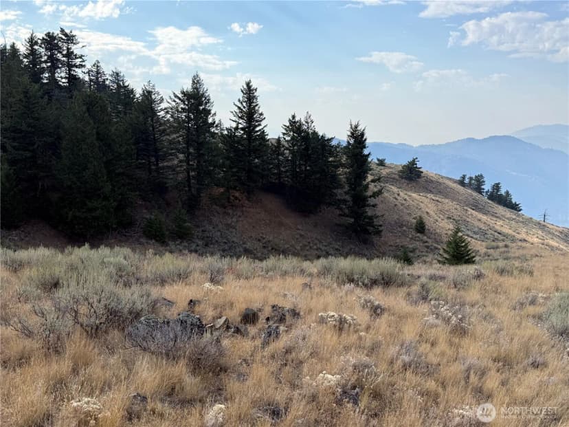 Property photo for 111 Off Log Camp Rd, Oroville photo 7