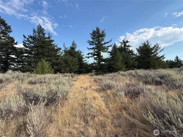 Property photo for 111 Off Log Camp Rd, Oroville photo 2