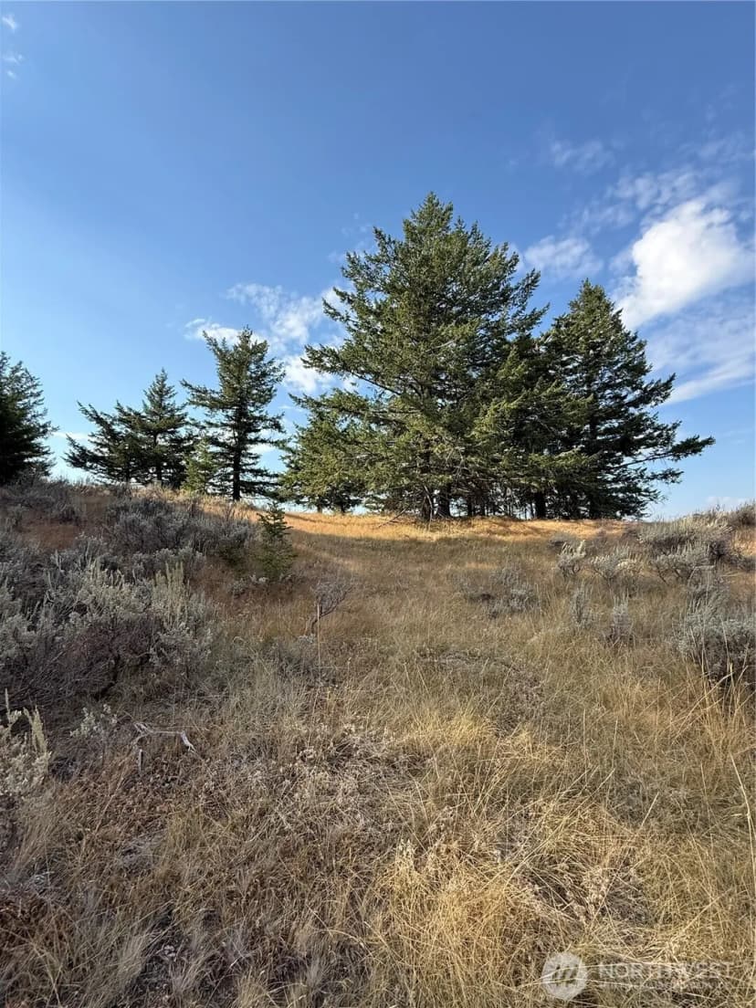 Property photo for 111 Off Log Camp Rd, Oroville photo 10