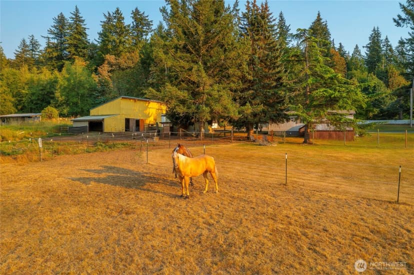 Property photo for 1494 Van Wyck Road, Bellingham photo 20