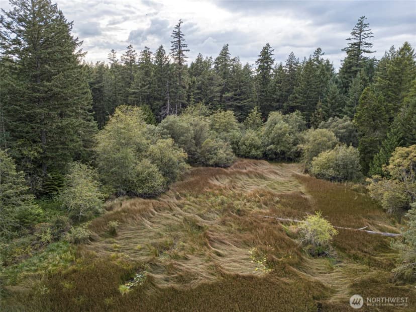 Property photo for 0 Three Corners Lake Road, Friday Harbor photo 5