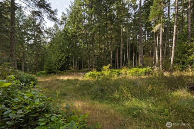Property photo for 0 Three Corners Lake Road, Friday Harbor photo 4