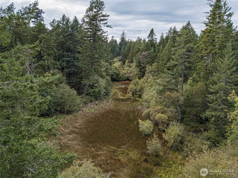 Property photo for 0 Three Corners Lake Road, Friday Harbor photo 6