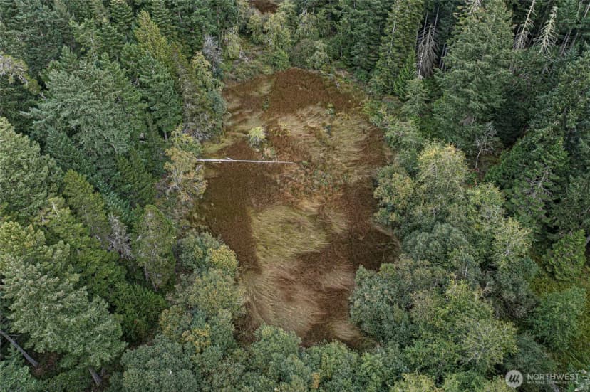 Property photo for 0 Three Corners Lake Road, Friday Harbor photo 14