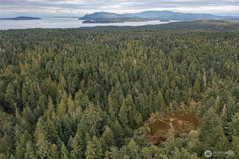 Property photo for 0 Three Corners Lake Road, Friday Harbor photo 12