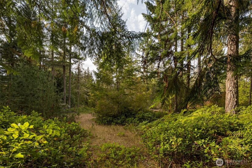Property photo for 0 Three Corners Lake Road, Friday Harbor photo 18