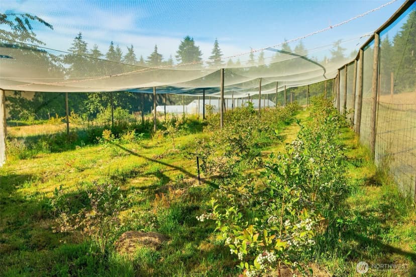 Property photo for 7206 Sw 248th Street, Vashon photo 34