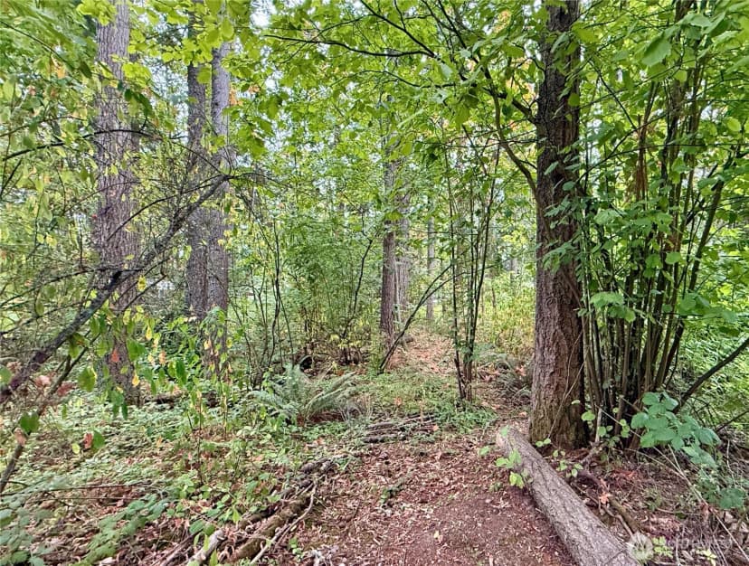 Property photo for 31719 41st Avenue E, Eatonville photo 31