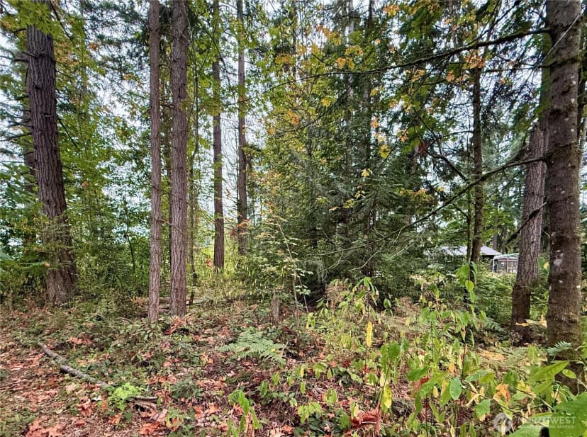 Property photo for 31719 41st Avenue E, Eatonville photo 32