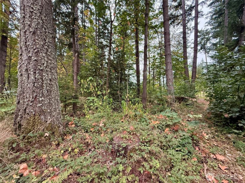 Property photo for 31719 41st Avenue E, Eatonville photo 33
