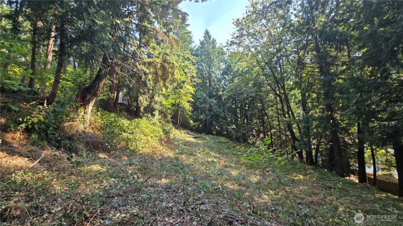 Property photo for 1320 207th Place Ne, Sammamish photo 10