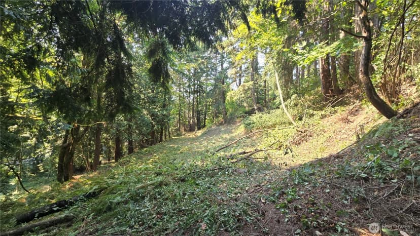 Property photo for 1320 207th Place Ne, Sammamish photo 15