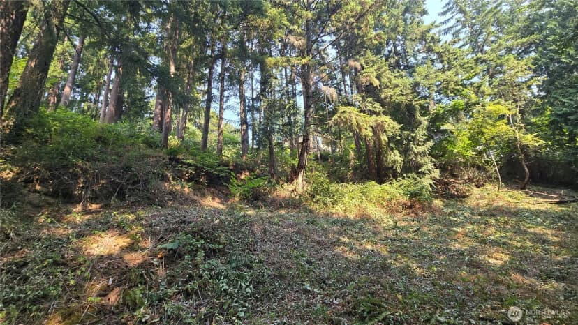 Property photo for 1320 207th Place Ne, Sammamish photo 11