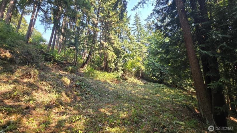 Property photo for 1320 207th Place Ne, Sammamish photo 17