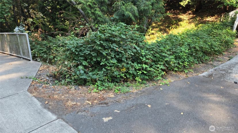 Property photo for 1320 207th Place Ne, Sammamish photo 2
