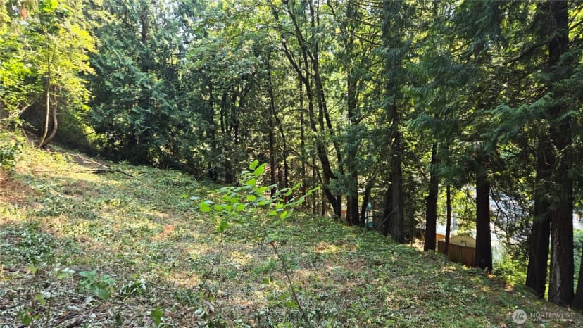 Property photo for 1320 207th Place Ne, Sammamish photo 9