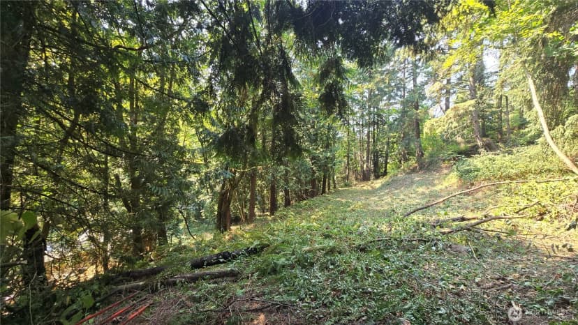 Property photo for 1320 207th Place Ne, Sammamish photo 14