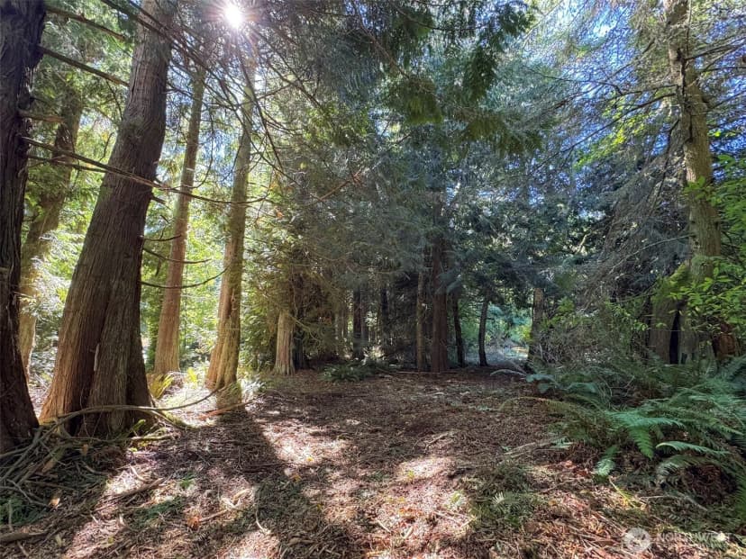 Property photo for 9999 W Bachelor Rock Drive, Port Angeles photo 26