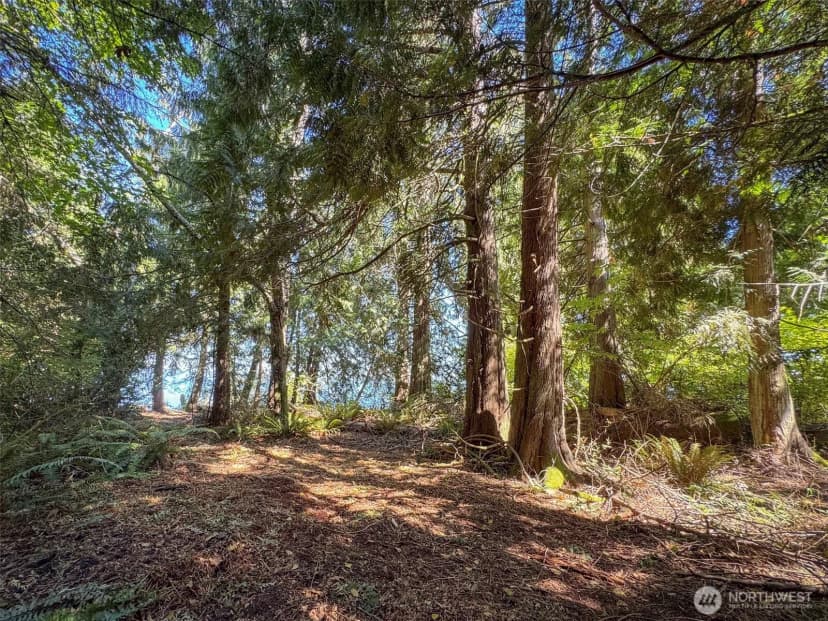 Property photo for 9999 W Bachelor Rock Drive, Port Angeles photo 12