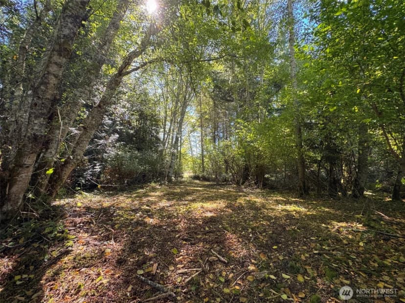 Property photo for 9999 W Bachelor Rock Drive, Port Angeles photo 27