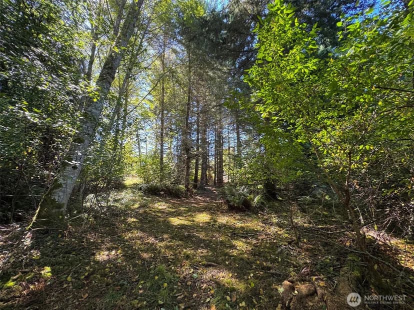 Property photo for 9999 W Bachelor Rock Drive, Port Angeles photo 28