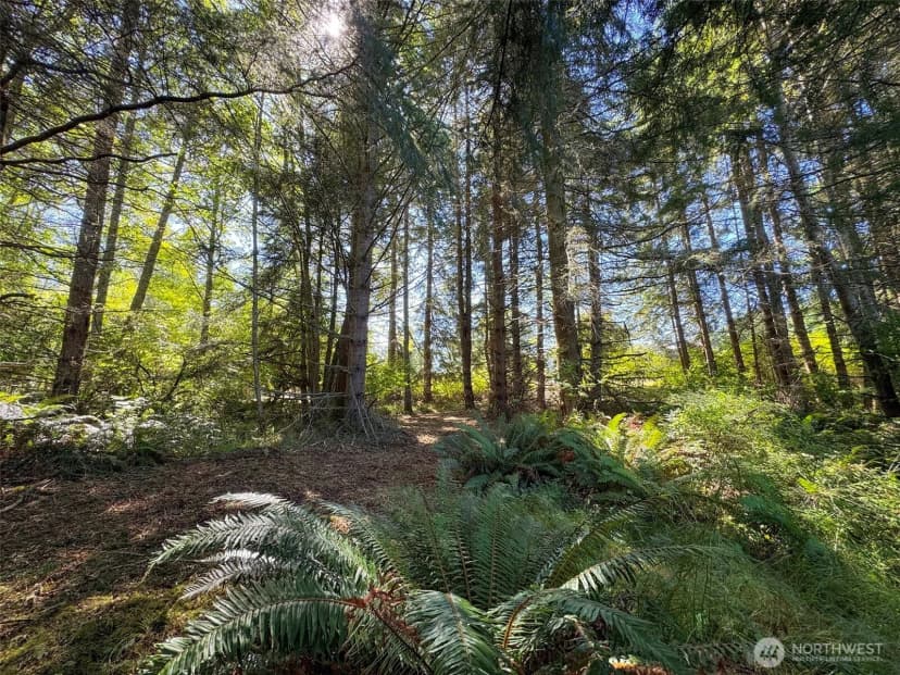 Property photo for 9999 W Bachelor Rock Drive, Port Angeles photo 29