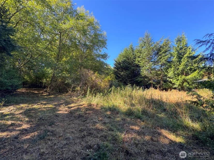 Property photo for 9999 W Bachelor Rock Drive, Port Angeles photo 11