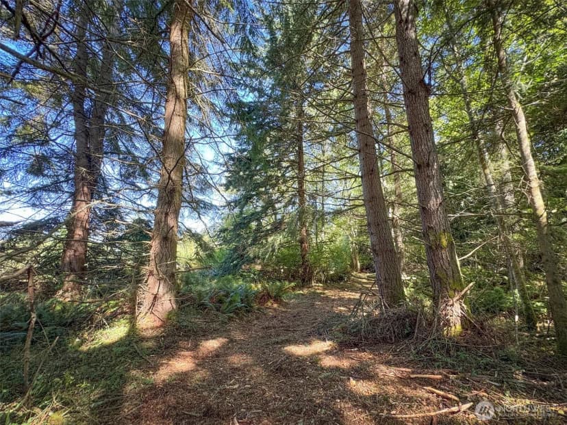 Property photo for 9999 W Bachelor Rock Drive, Port Angeles photo 7