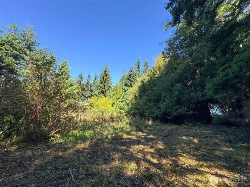 Property photo for 9999 W Bachelor Rock Drive, Port Angeles photo 10