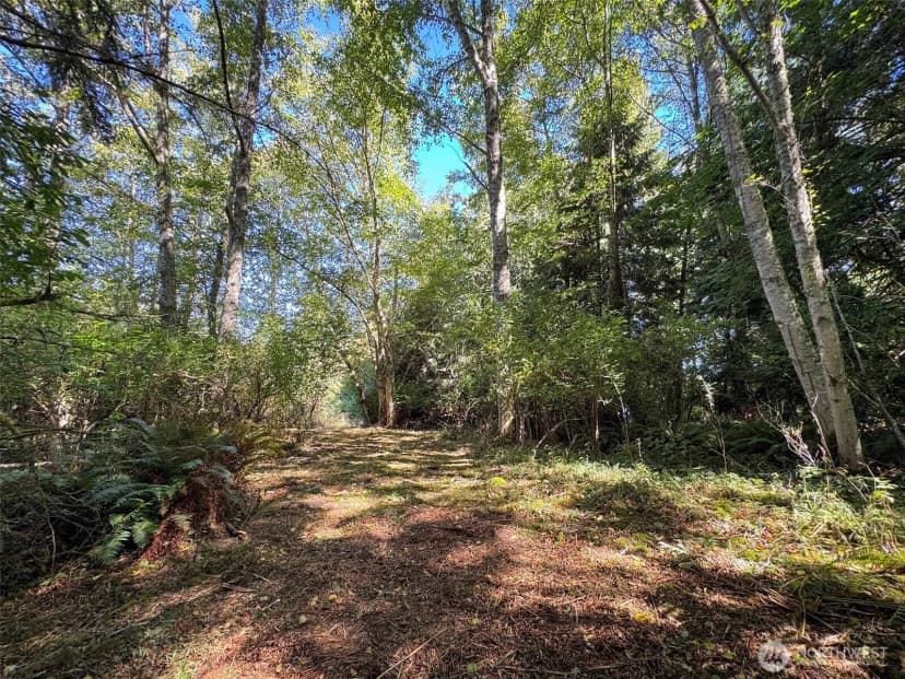 Property photo for 9999 W Bachelor Rock Drive, Port Angeles photo 8